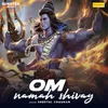 About Om Namah Shivay Song